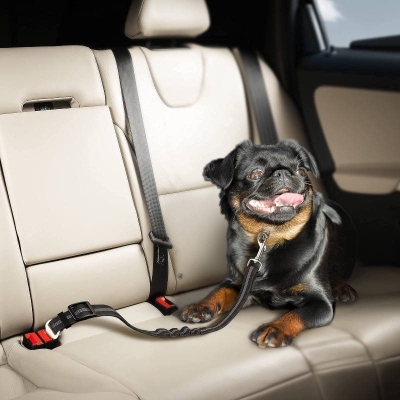 Retractable Dog Car Harness Se - Snap Fastener Set review and price