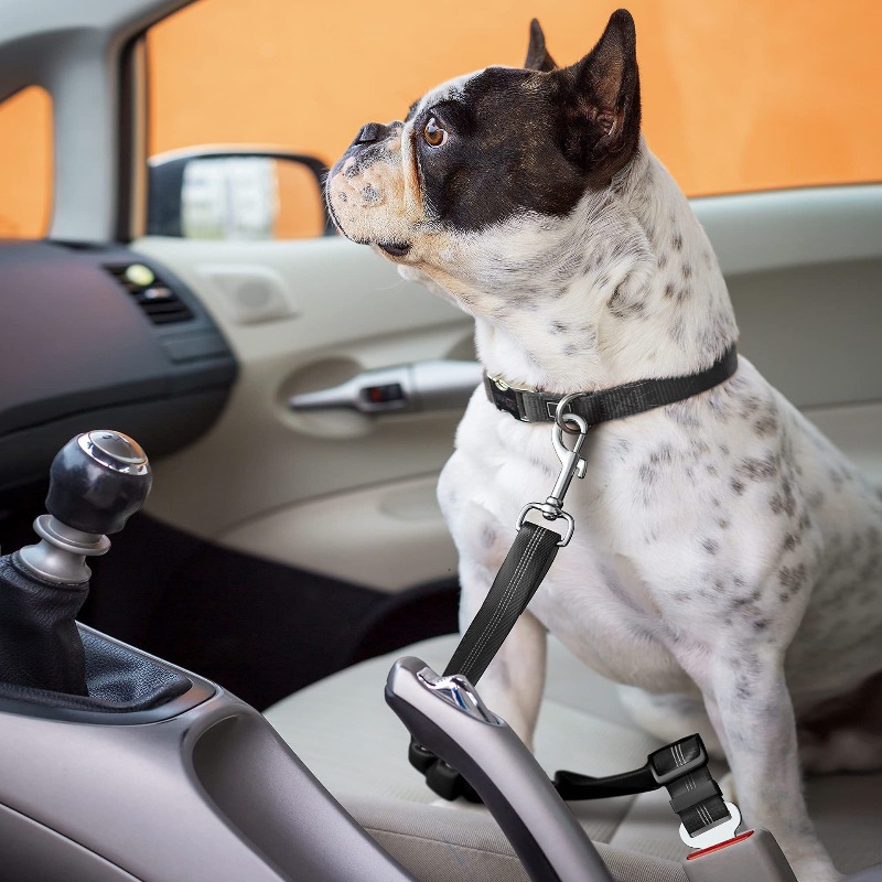 Retractable Dog Car Harness Se - Snap Fastener Set review and price